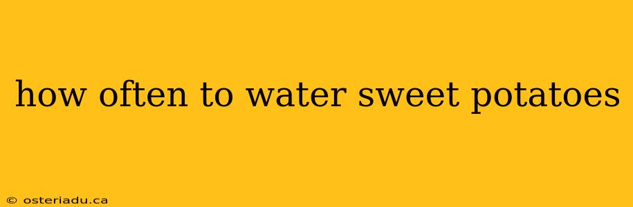 how often to water sweet potatoes