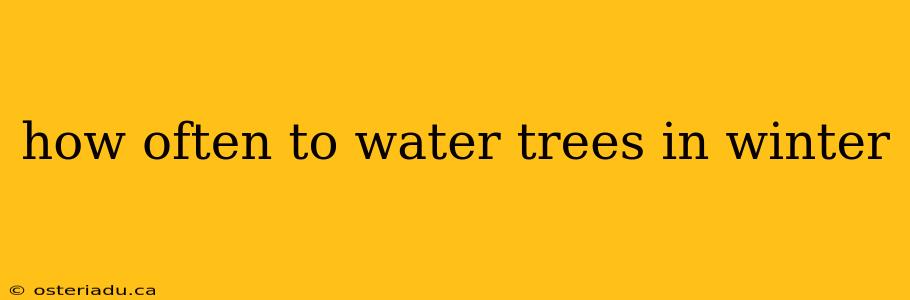 how often to water trees in winter