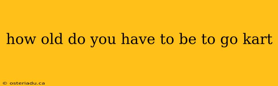 how old do you have to be to go kart