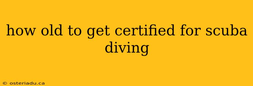 how old to get certified for scuba diving