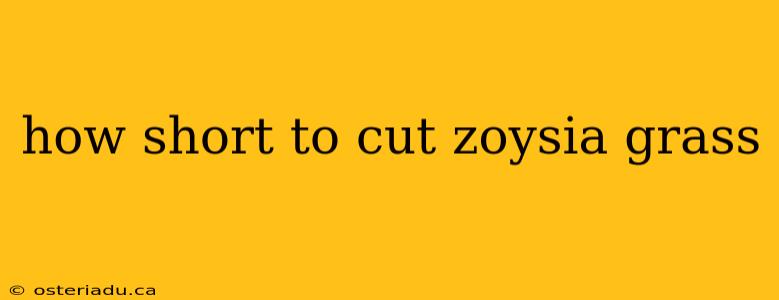 how short to cut zoysia grass