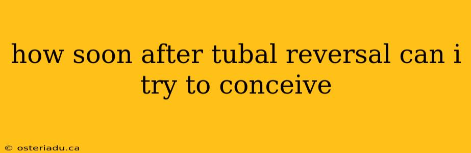 how soon after tubal reversal can i try to conceive