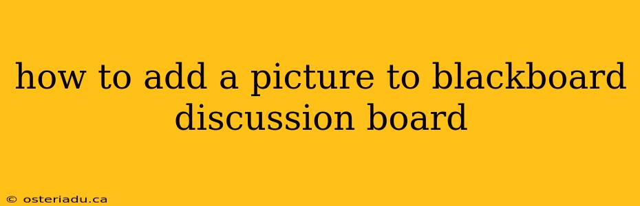 how to add a picture to blackboard discussion board