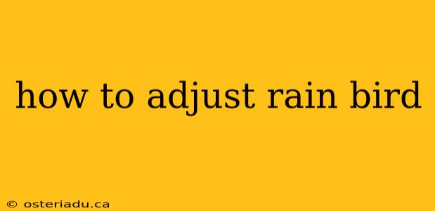 how to adjust rain bird