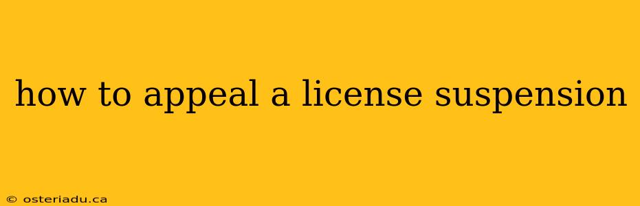 how to appeal a license suspension