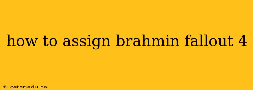 how to assign brahmin fallout 4