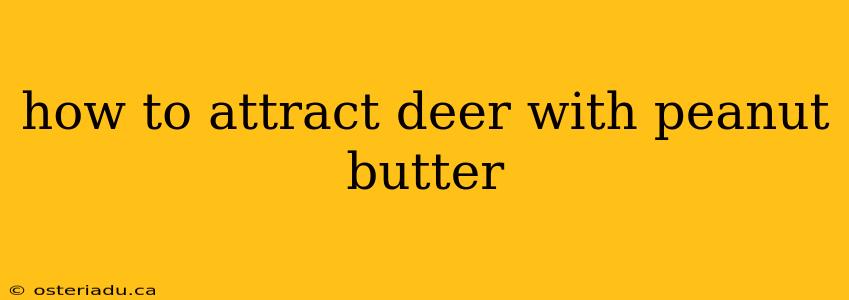 how to attract deer with peanut butter