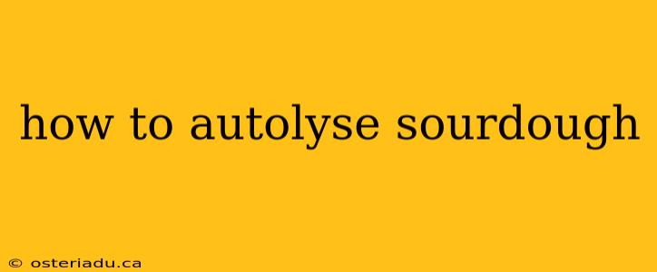 how to autolyse sourdough