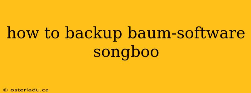 how to backup baum-software songboo