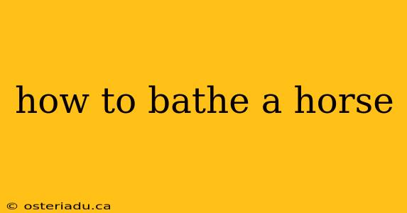 how to bathe a horse