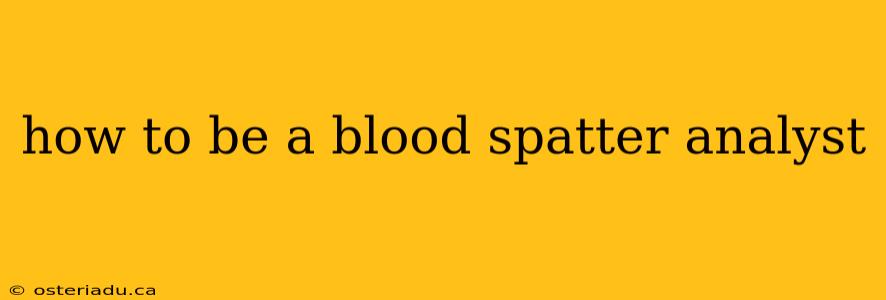 how to be a blood spatter analyst