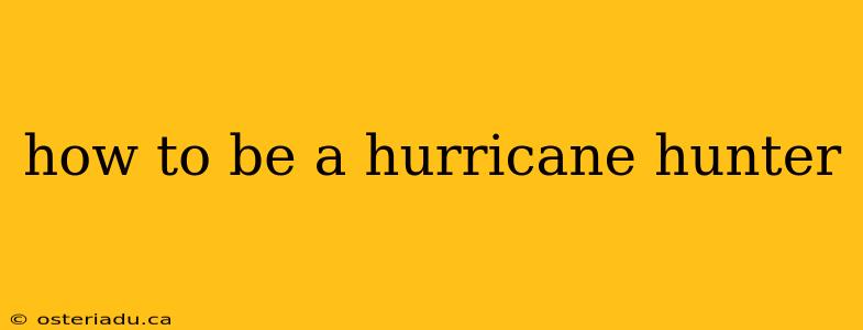 how to be a hurricane hunter