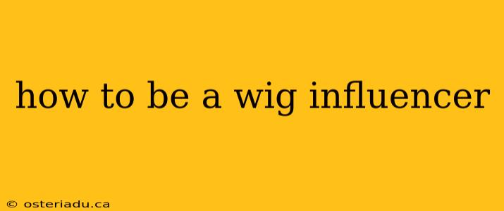 how to be a wig influencer