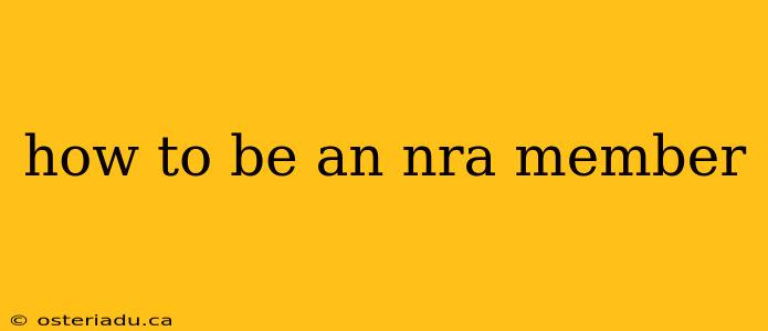 how to be an nra member