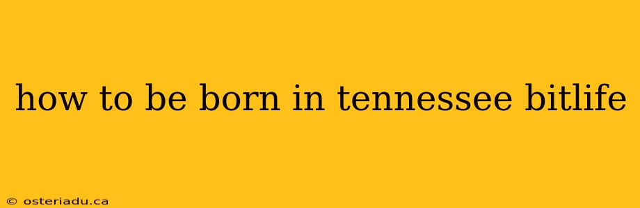 how to be born in tennessee bitlife