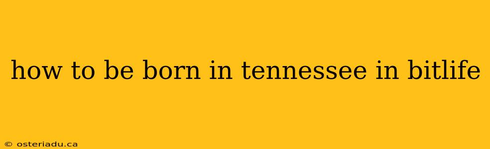 how to be born in tennessee in bitlife