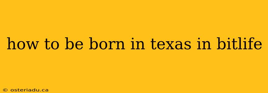 how to be born in texas in bitlife