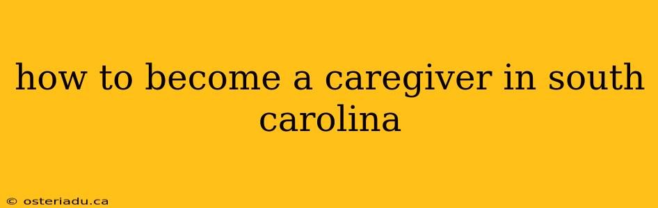 how to become a caregiver in south carolina