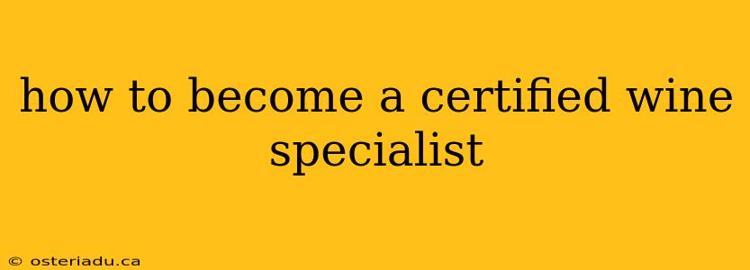 how to become a certified wine specialist