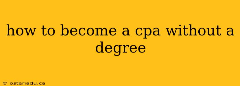 how to become a cpa without a degree