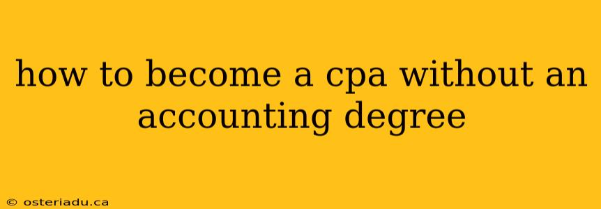 how to become a cpa without an accounting degree