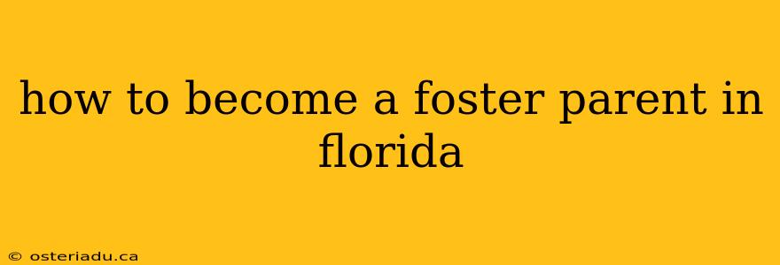 how to become a foster parent in florida