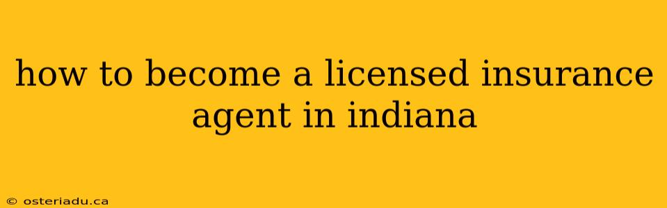 how to become a licensed insurance agent in indiana