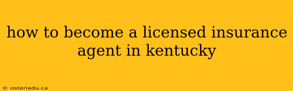 how to become a licensed insurance agent in kentucky