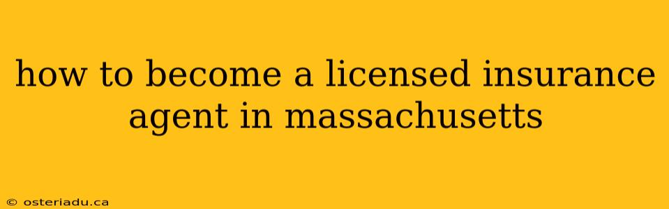 how to become a licensed insurance agent in massachusetts