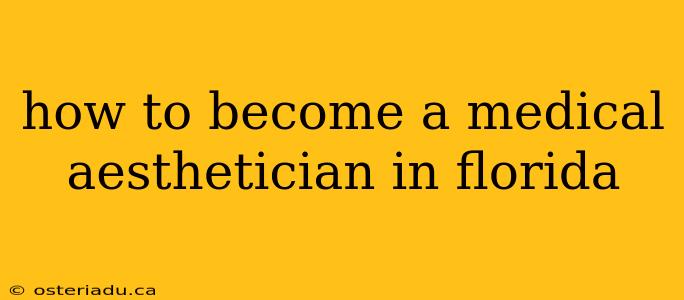 how to become a medical aesthetician in florida