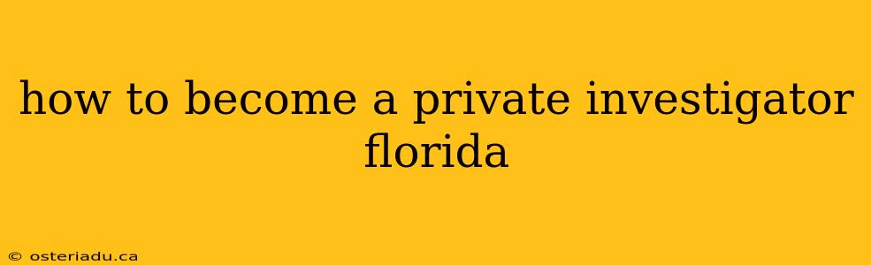 how to become a private investigator florida