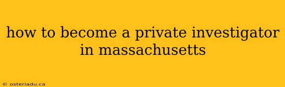 how to become a private investigator in massachusetts