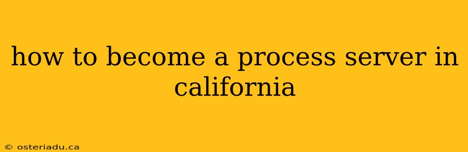 how to become a process server in california