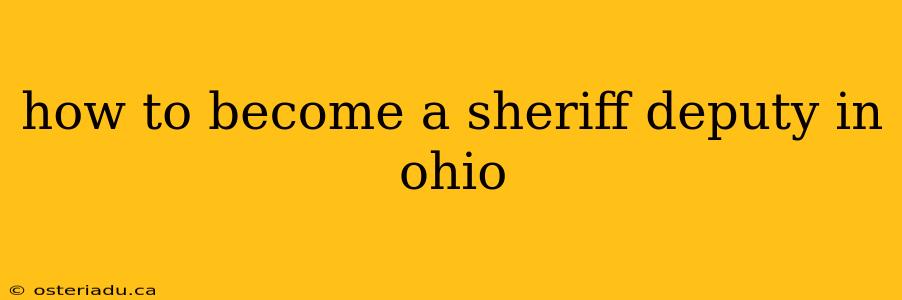 how to become a sheriff deputy in ohio