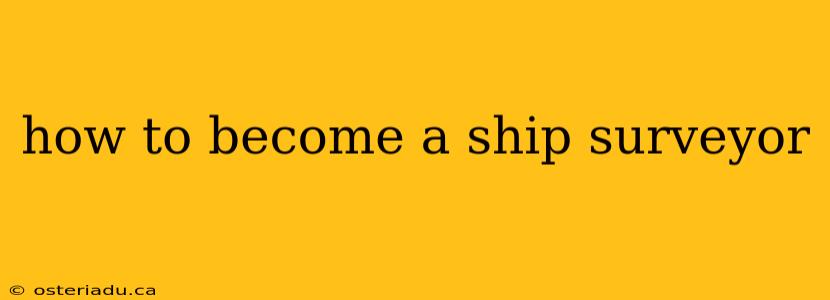 how to become a ship surveyor