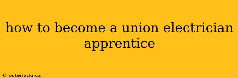 how to become a union electrician apprentice