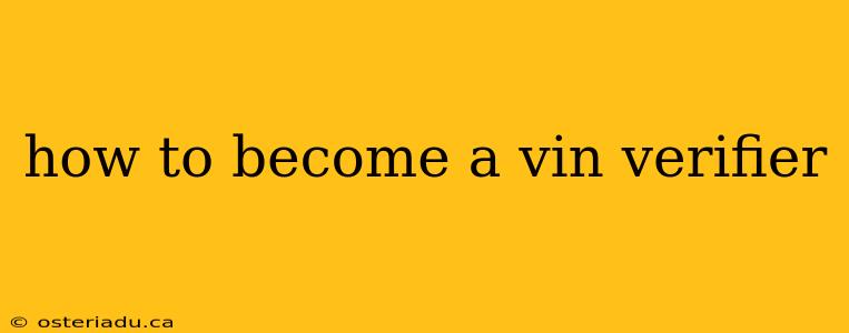 how to become a vin verifier