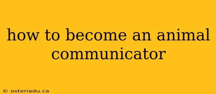 how to become an animal communicator