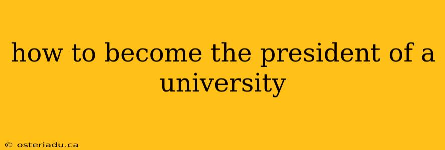 how to become the president of a university