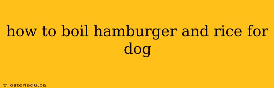 how to boil hamburger and rice for dog