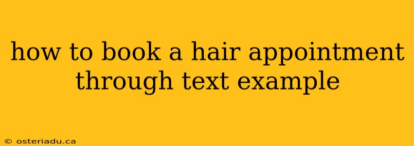 how to book a hair appointment through text example