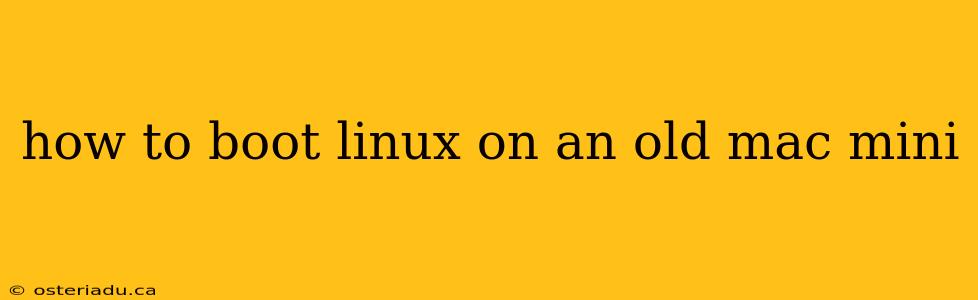 how to boot linux on an old mac mini