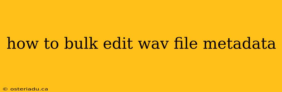 how to bulk edit wav file metadata