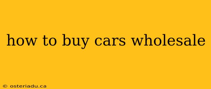 how to buy cars wholesale