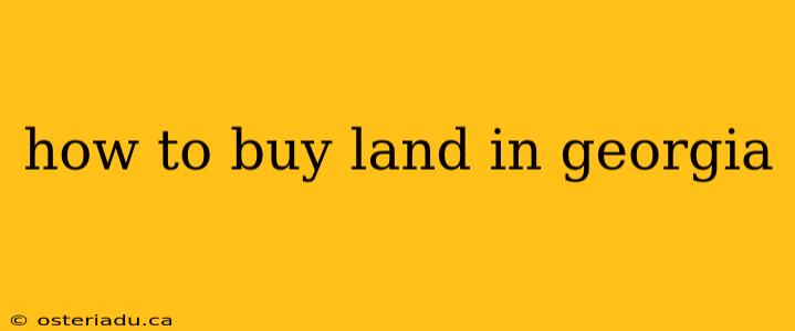 how to buy land in georgia