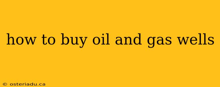 how to buy oil and gas wells