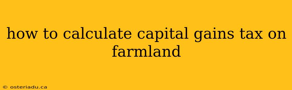 how to calculate capital gains tax on farmland