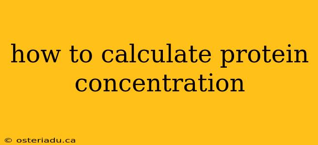 how to calculate protein concentration