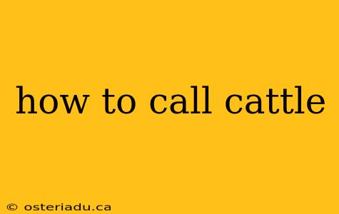 how to call cattle