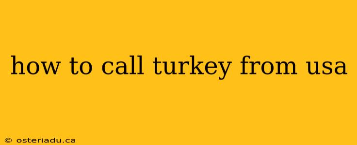 how to call turkey from usa